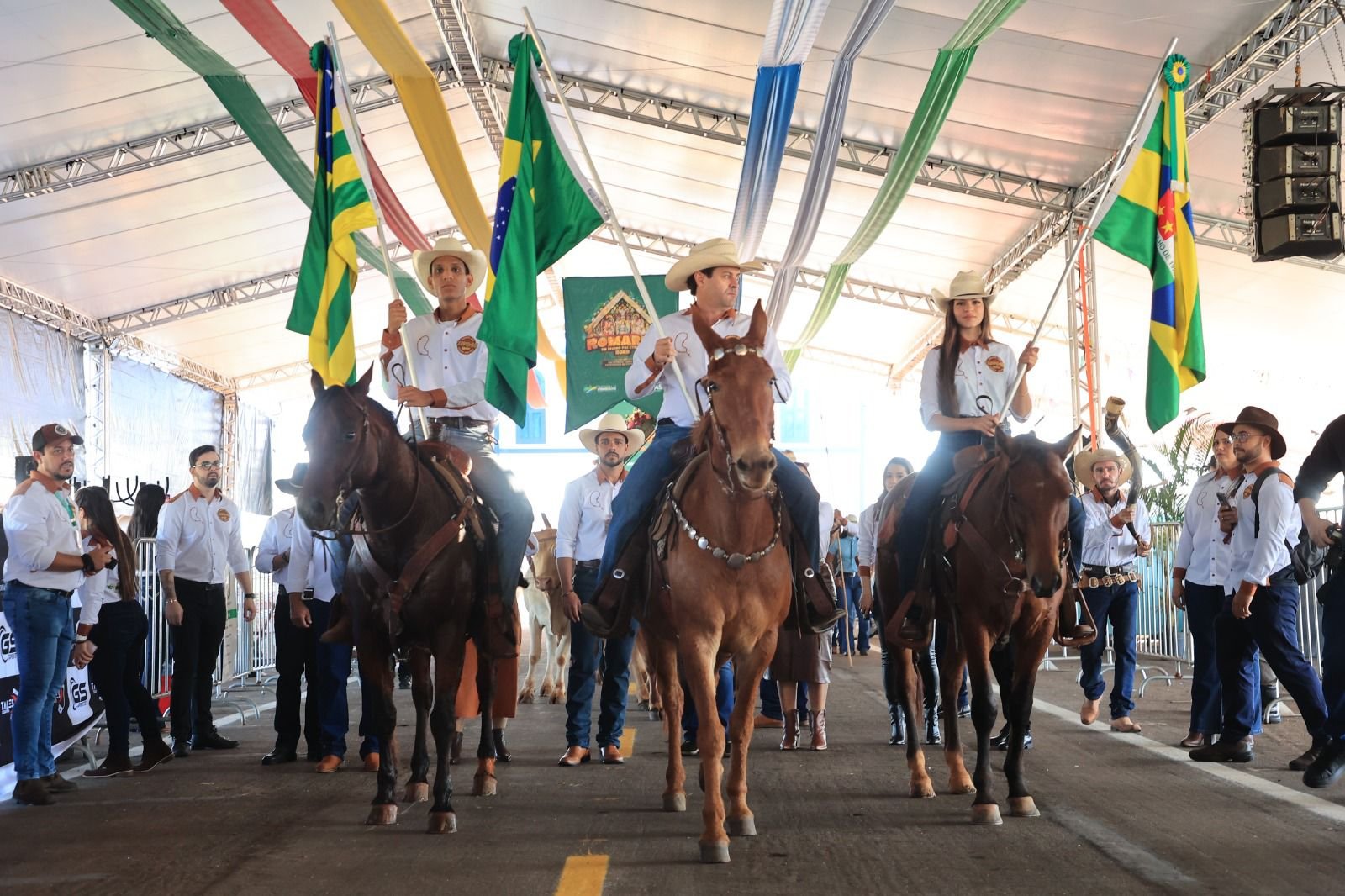 Em desfile histórico, Trindade reúne 432 carros de bois na Romaria do Divino Pai Eterno nesta quinta-feira
