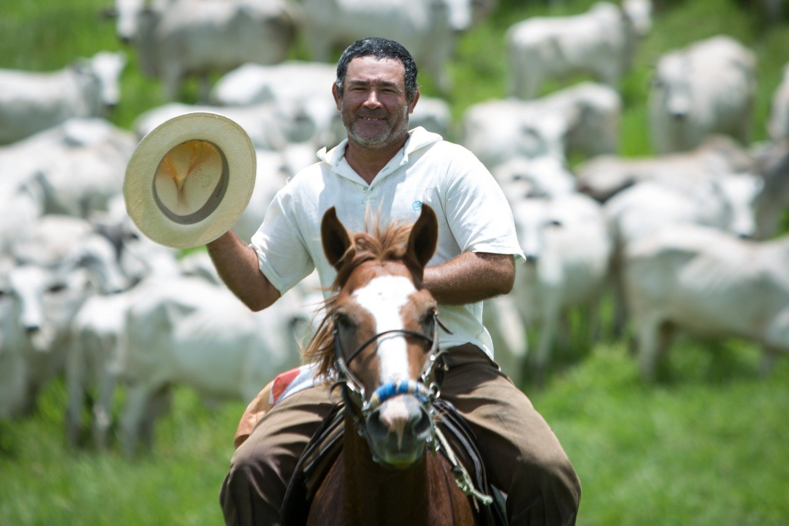 Resultado em comparação com 2024, coloca Goiás no acumulado do ano na liderança proporcional de empregos formais no Brasil