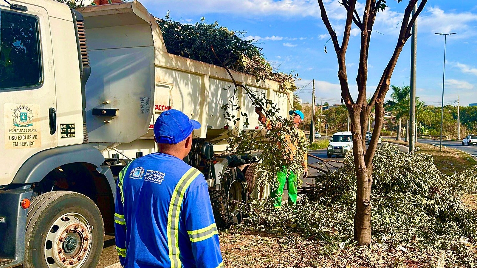 Saiba como solicitar gratuitamente serviços de limpeza e zeladoria urbana