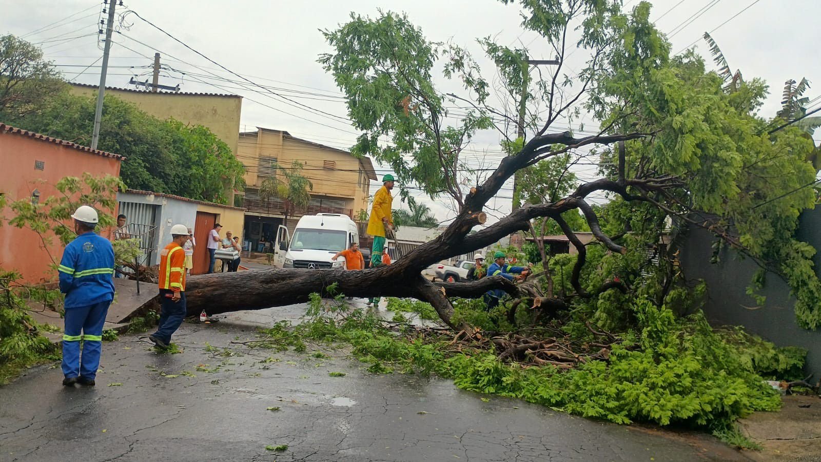 Coronel Cláudia Lira coordena ações preventivas com início de período chuvoso