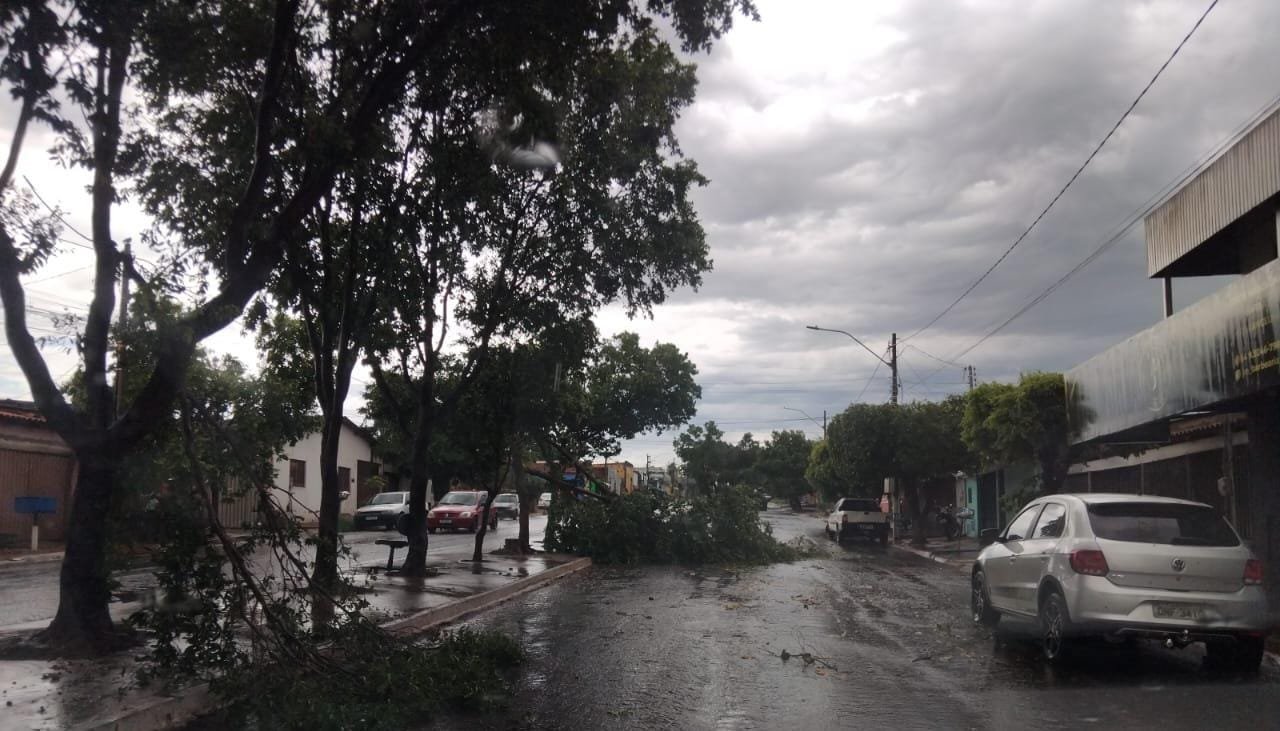 Equatorial Goiás alerta para risco de temporal com ventos intensos nas próximas horas em municípios goianos