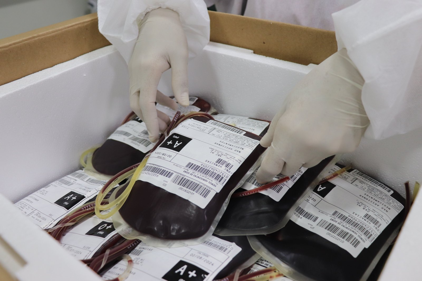 Hemocentro de Goiás envia 300 bolsas de sangue para Pernambuco e Rondônia