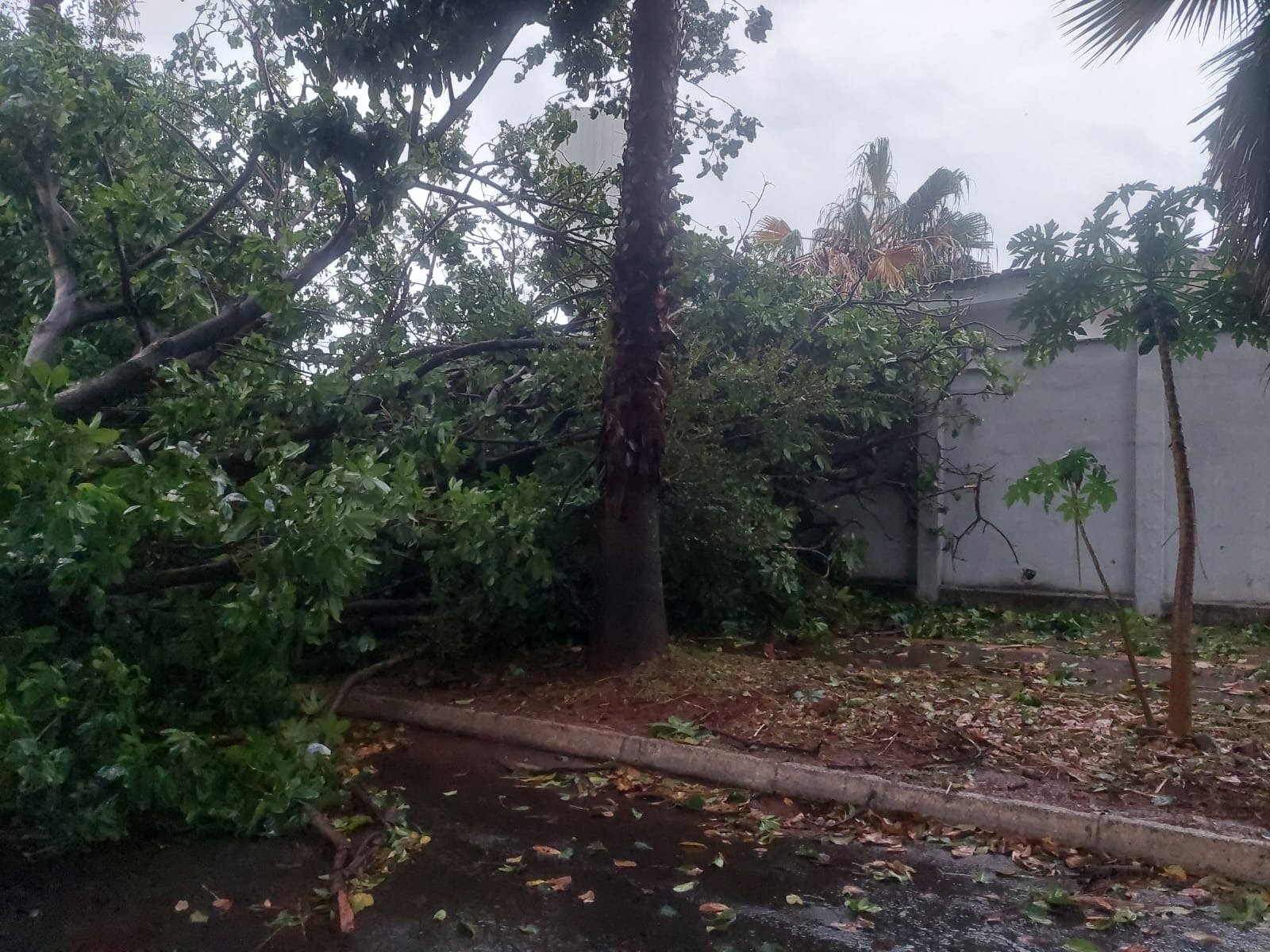Equatorial Goiás alerta para possível temporal em mais de 180 municípios nesta quarta-feira (10)