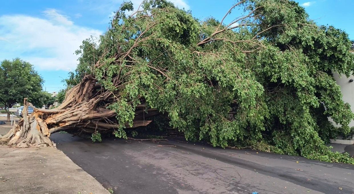 Equatorial Goiás acompanha alerta de tempestades em todo o estado a partir de hoje (15)