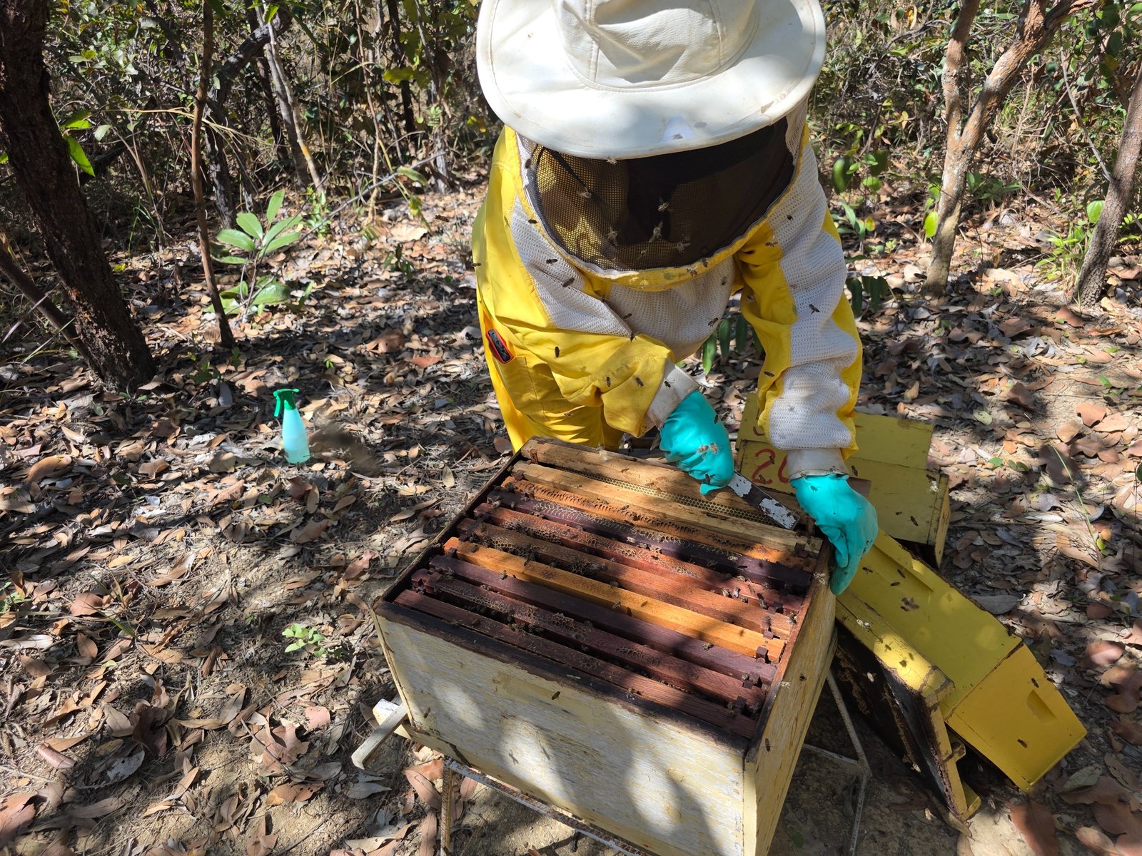 Termina hoje prazo para cadastro em projeto do Governo de Goiás de melhoria de agroindústrias