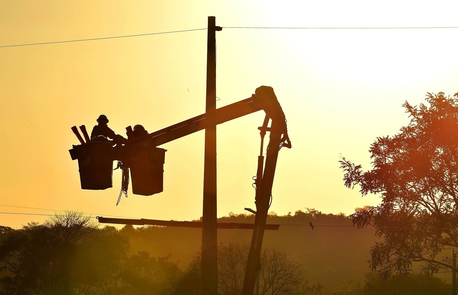 Atenção redobrada com a rede elétrica na zona rural: confira 3 cuidados essenciais