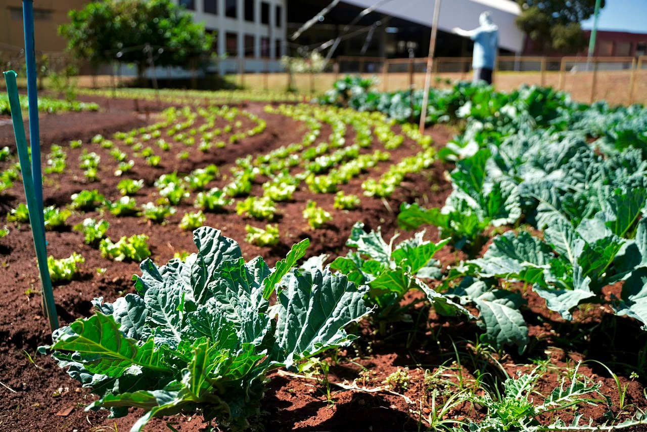 Programa da Prefeitura de Goiânia permite troca de materiais recicláveis por alimentos