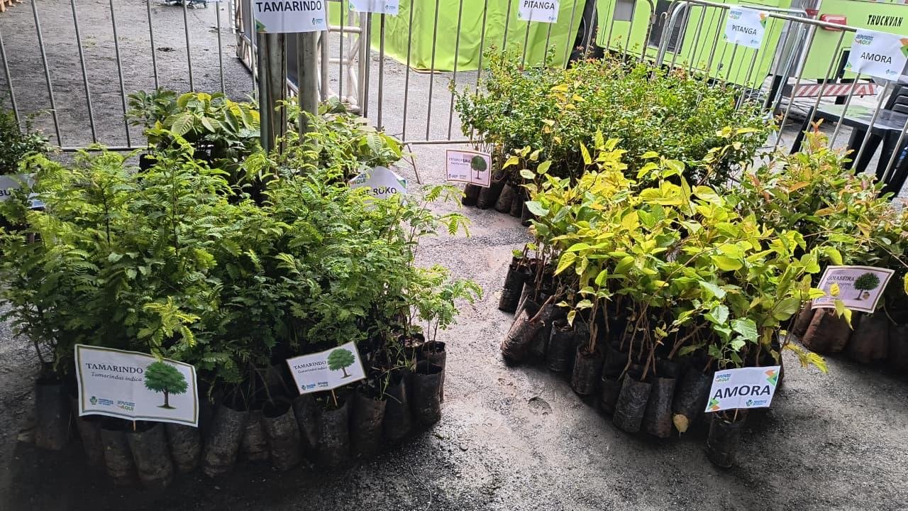 Prefeitura de Goiânia promove recolhimento de pneus e distribuição de mudas no Mutirão da Região Sudoeste