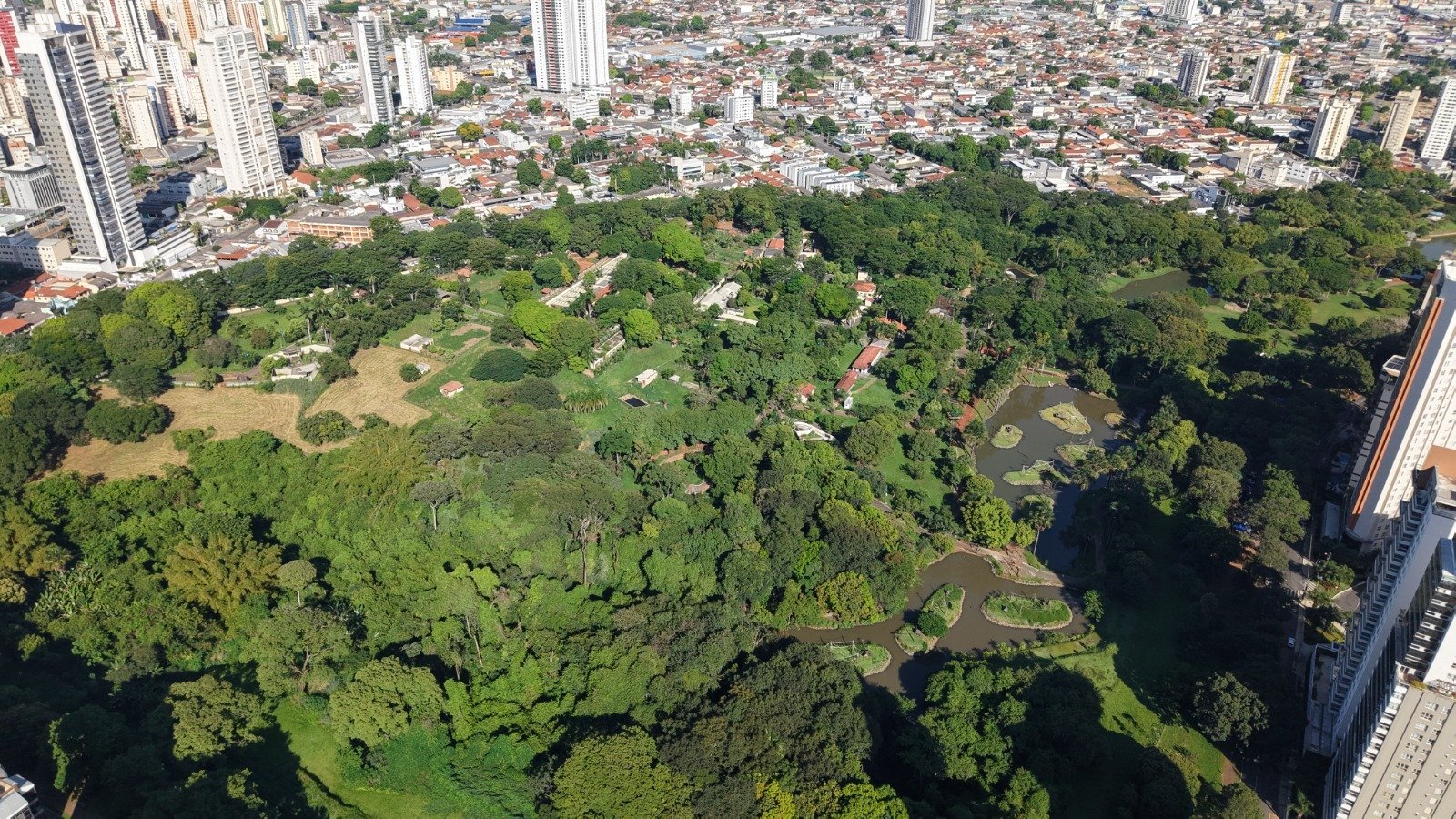 Pesquisa indica que 98,3% dos visitantes recomendam Goiânia como destino turístico